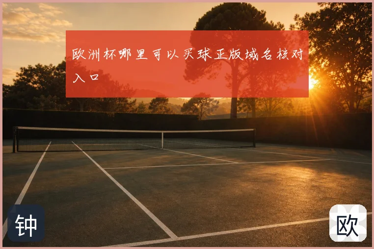 欧洲杯哪里可以买球正版域名核对入口